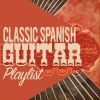 Download track Flamenco Guitar