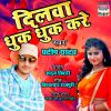 Download track Hamra Se Kaahe Muh Mod Lehlu