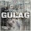 Download track Welcome To The Gulag