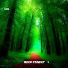 Download track Deep Forest Q