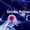 Download track Sistema Nervoso