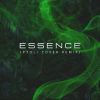 Download track Essence (Slowed Cover)