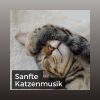 Download track Katzenschlafmusik