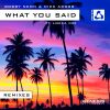 Download track What You Said (Willem De Roo Radio Edit)