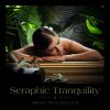 Download track Solitude Symphony