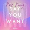 Download track Say You Want (Original Mix)