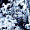 Download track Fabulous Solo Piano Jazz - Vibe For Relaxing Your Cat