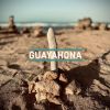 Download track Guayahona City