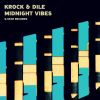 Download track Midnight Vibes (Original Mix)