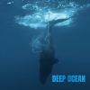 Download track Deep Ocean (Part 2)