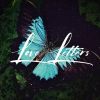 Download track Lonely Butterfly