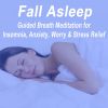 Download track Fall Asleep Breath Meditation, Phase 3 (Focus By Fading Away In A Deeper Sleep!)