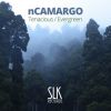 Download track Evergreen (Original Mix)