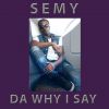 Download track Da Why I Say