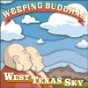 Download track West Texas Sky