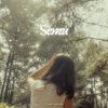 Download track Semu