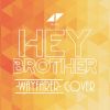 Download track Hey Brother (Instrumental)