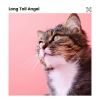 Download track Pets' Tune To Relax