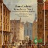 Download track Symphony No. 6 In D Major, Op. 56- I. Allegro Non