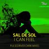 Download track I Can Feel (Pulsedriver Dark Extended Mix)