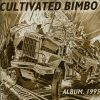 Download track 1st Bimbo