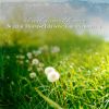 Download track Surreal Morning Birdsong Garden Ambience, Pt. 2