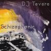 Download track Schizophonic