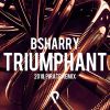 Download track Triumphant (2018 Pirate Remix)