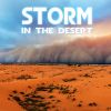 Download track Desert Storm Near The Ocean (White Noise Unlimited Remix)