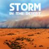 Download track Desert Ocean Storm & Thunder