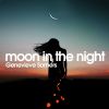 Download track Moon In The Night