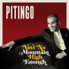 Download track Ain't No Mountain High Enough (Spanish Version)