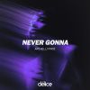 Download track Never Gonna