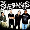 Download track The Shebangs - Double Bypass