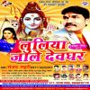 Download track Devghar Me Jal Dharal Jai