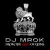 Download track Mr. DJ