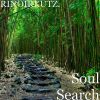 Download track Soul Water's