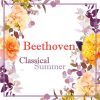 Download track I Musici - Beethoven- Minuet In G Major, WoO 10, No. 2