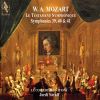 Download track Symphony No. 40 In G Minor, K. 550: III. Menuetto: Allegretto - Trio