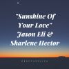 Download track Sunshine Of Your Love (Mr. Kayamiro Radio Edit)