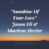 Download track Sunshine Of Your Love (Radio Edit)