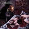 Download track Morbid Indulgence