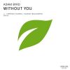 Download track Without You (Christos Fourkis Rmx)