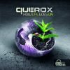 Download track Fly Away (Querox Rmx)