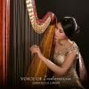 Download track Voice Of Dreams (Harp Cover)