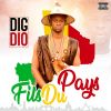 Download track Fils Du Pays