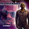 Download track Zaminga