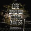 Download track Life Behind Them Gates