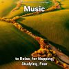 Download track Relaxing Music For Mindfulness