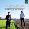 Download track Three Variations On La Forza Del Destino Of Giuseppe Verdi'